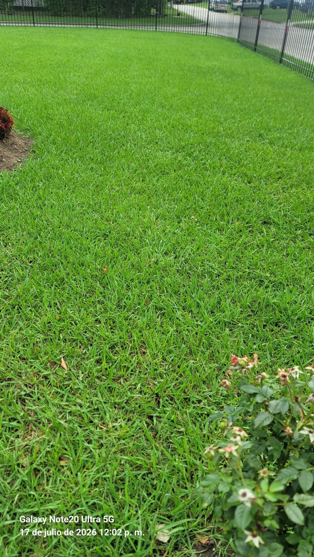 7-17 Lawn Mower gallery photo